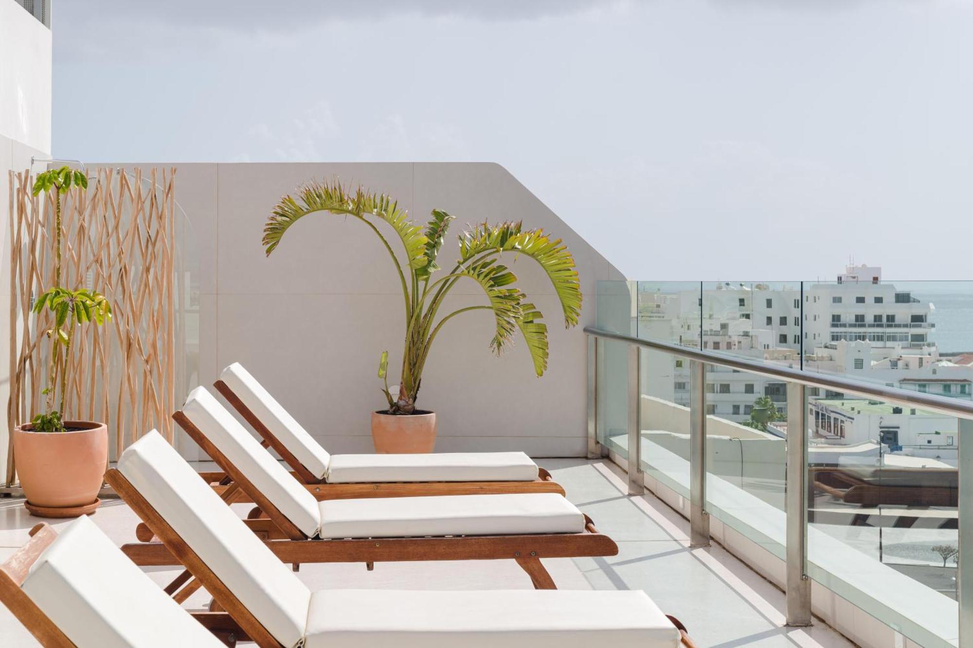 Plus Fariones Habitat Arrecife  Luaran gambar